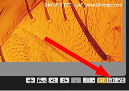 Remote Software: Mikroskopkamera Lupenfunktion Bildschärfe einstellen im Livebild