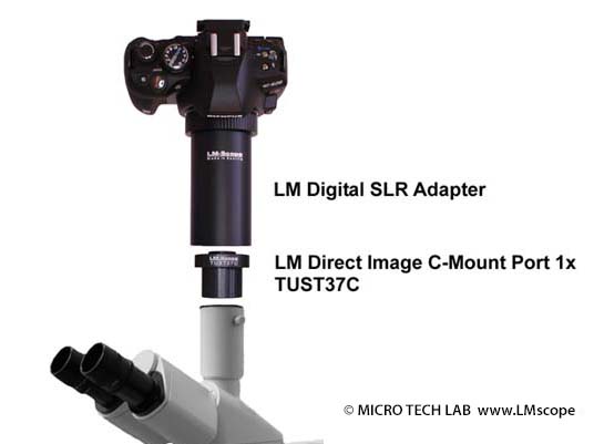 Leitz Mikroskop Durchmesser 37mm